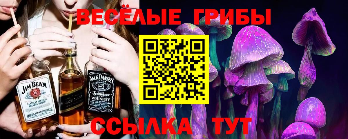Карталы  Псилоцибиновые грибы ЛСД  Псилоцибиновые грибы Cubensis  сколько стоит  Вход с VPN 